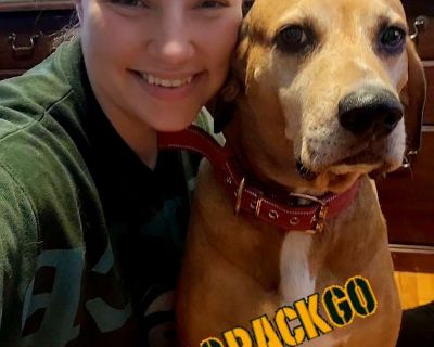 Available on: now. Furnished. Parking available * Internet included * LGBTQ+ friendly. Room for Rent Available October 1, 2025 April 30, 2026 Looking for a female tenant to rent a private room from October 1, 2025 through April 30, 2026. Rent: $800/month Utilities: Split evenly with housemates Fully furnished common areas Close to U of M, downtown, bus routes, and I94 Perfect for a student or p...