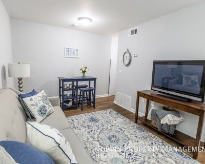 1 Bedroom 1BA 785 ft Pet-Friendly Apartment For Rent in Richmond, VA