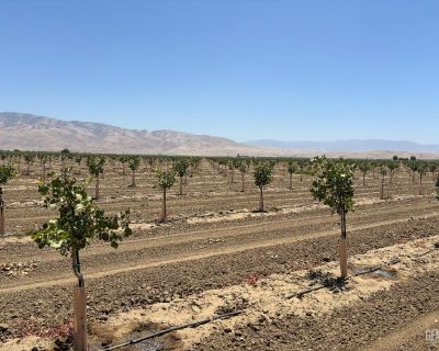 Farms/Ranches For Sale in Arvin, CA