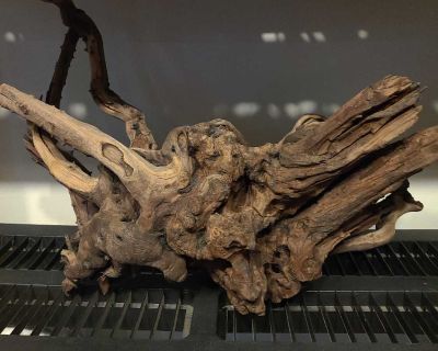 XL Aquarium Driftwood
