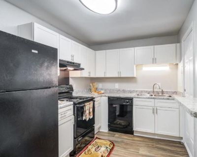 1 Bedroom 1BA Pet-Friendly Apartment For Rent in Douglasville, GA
