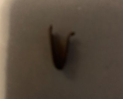 Minimum stay: 1 month. Deposit: 400. Bills included. Age preference: 18 - 70. Available for students. Small room for rent full house access. Free WiFi, possibly put a child in room with parent. I raised 6 foster children, not looking for a relationship, smoking outside only. Bills to be shared. Friendly, remodeling while living there. Looking for a responsible person to help out.