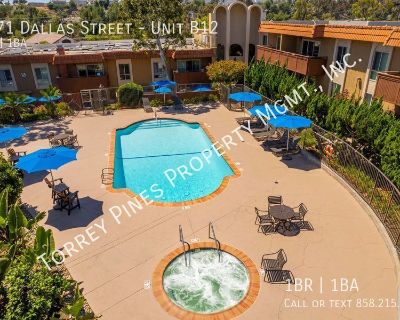 1 Bedroom 1BA 704 ft Pet-Friendly Apartment For Rent in La Mesa, CA