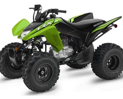 2023 Honda TRX250X ATV Sport Herculaneum, MO