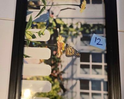 Black Picture Frame - 11"x14"