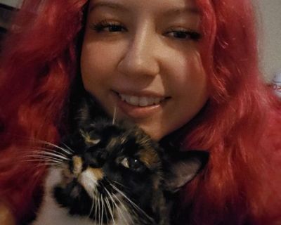 Belle - Needs a House on iROOMit or a Room