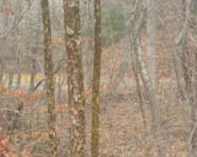 Land For Sale in FERRUM, VA