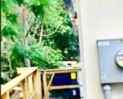 905 4th Avenue North. image_url. In unit laundry Patio / balcony Pet friendly Parking Recently renovated Stainless steel Unit Amenities furnished in unit laundry patio / balcony recently renovated stainless steel Property Amenities cats allowed dogs allowed pet friendly parking internet access. Pets allowed. 1 Bedroom. 1 Bathroom. 2345 ft . Furnished