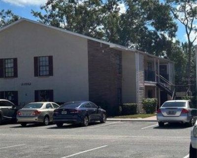 2 Bedroom 1BA Condo For Rent in Land O Lakes, FL