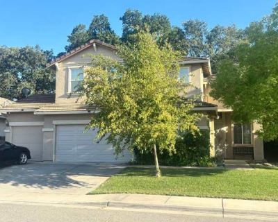 Spacious 6BR House in Live Oak. image_url. In unit laundry Dishwasher Dogs allowed Garage Concierge Microwave Unit Amenities dishwasher garbage disposal in unit laundry microwave range refrigerator Property Amenities dogs allowed pet friendly concierge parking garage. Pets allowed. 6 Bedroom. 3 Bathroom. 2379 ft