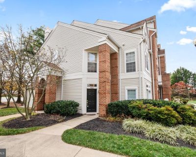 2 Bedroom 2BA 1130 ft Apartment For Rent in Alexandria, VA