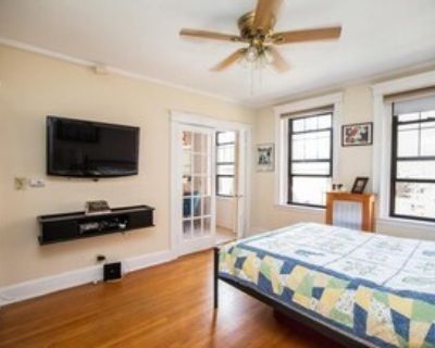 Pet friendly $800 per month room to rent in Albany