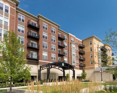 255 N Addison Ave Apt 338. Limited time offer: GET ONE MONTH FREE RENT. Live near the train, don't hear the train. Located in the heart of downtown Elmhurst. Walk to grocery, Metra, shopping, theater, museums, restaurant and nightlife. Incredible finishes include quartz countertop, plank flooring, open kitchens, walk-in closets. Full amenity building with indoor heated parking, pool, bocce cour...