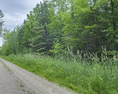 Lots and Land For Sale in Trout Lake, MN