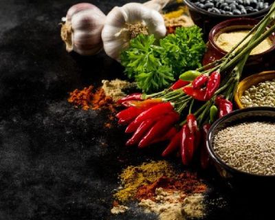 Best indian restaurant in PA