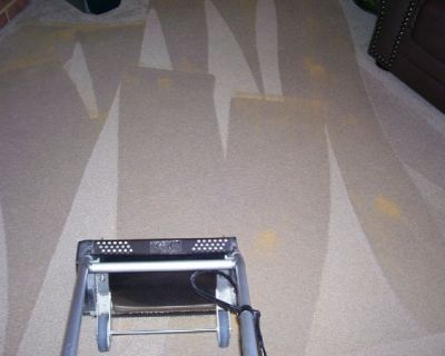 Dry Carpet Cleaning in Woodbridge For Quick & Effective Cleaning Results
