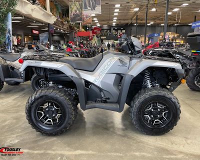 2026 Honda FourTrax Foreman Rubicon 4x4 Automatic DCT EPS Deluxe ATV Utility White Bear Lake, MN