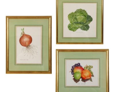 Set of Three Framed Fruit & Vegetable Watercolor by Alastair Gordon