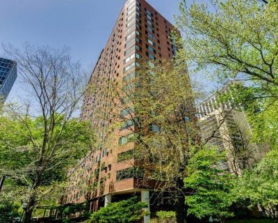 N Lake Shore Dr Apt,chicago, Condo For Rent