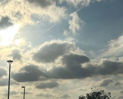 Room For Rent in 1BR 1BA Property, New Braunfels, TX