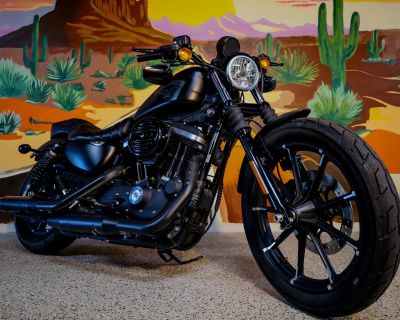 2017 Harley-Davidson Sportster XL883N - 883 Iron