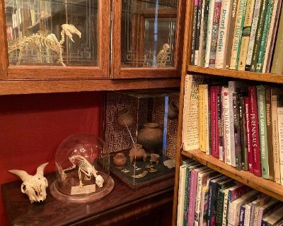 Contents of Estate of Brooklyn Academic 50+ years of Collecting