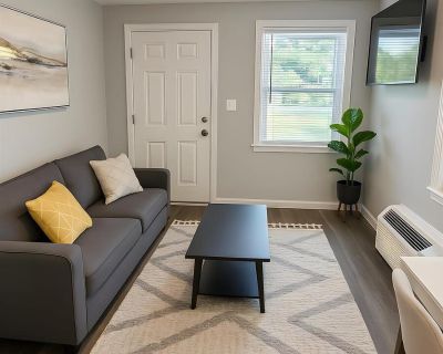 1 Bedroom 1BA 527 ft Pet-Friendly Apartment For Rent in Richmond, VA
