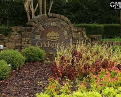 Stormycreek Ln, Blythewood, Plot For Sale
