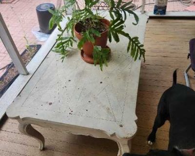 Wood Outdoor Table