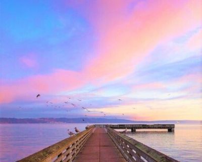 1920 Parkview Dr NE. Beautiful Oceanview Luxury 2-story House 3534 sf in highly desirable Beach Community: Browns Point! Grand entry,updated kitchen,granite countertop, SS appliances, winecooler and wet bar. Family room, formal dining, covered deck off kitchen. Ocean views from both floors and Yard. 4bedrooms, Master suite w/ balcony, 5piece bathroom incl jettub.2nd floor Sitting Room connectin...