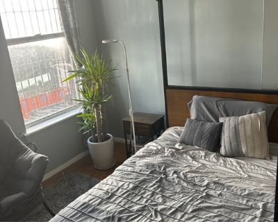 Furnished Room for Rent - Sublease - Large Furnished Bedroom in Williamsburg