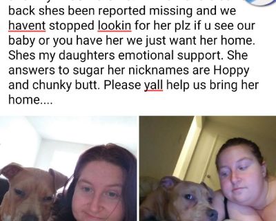 Stolen puppy