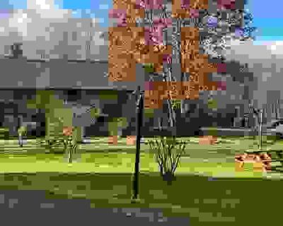 1 Bedroom 1BA 450 ft Pet-Friendly Condominium For Sale in WATERVILLE VALLEY, NH