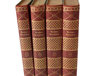 1926 - Decorative Antique German Books Brehms Tierleben by Dr. Koch - Set of 4