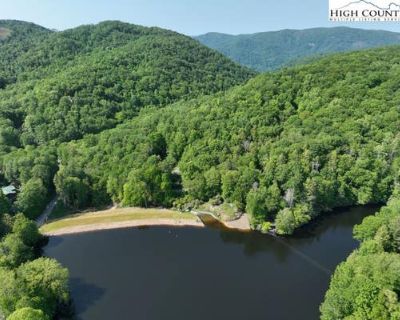 Single Family Home For Sale in ROAN MOUNTAIN, TN