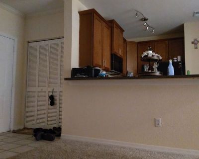 Jeremy Ocasio (Has an Apartment). Room in the 1 Bedroom 1BA Apartment For Rent in Sarasota,...