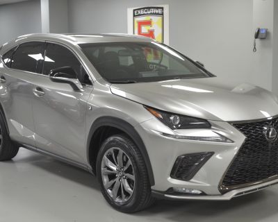 2019 Lexus NX 300 F SPORT