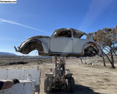 1965 Beetle Wolfsburg France Import all or part
