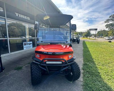 2025 Denago EV Rover XL Electric Golf Carts Richmond, VA