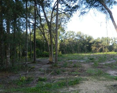 SILVER OAKS S/D, FANNING SPRINGS, FLA.