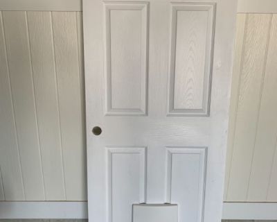 32 inch hollow core door with pet door
