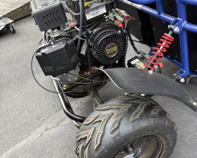 2020 Hammerhead MUDHEAD 208R