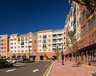1 Bedroom 1BA Apartment For Rent in Somerville, NJ