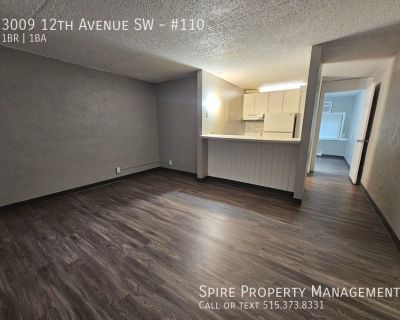 1 Bedroom 1BA Pet-Friendly Apartment For Rent in Cedar Rapids, IA