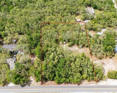 County Road,webster, Plot For Sale