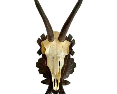 1968 Black Forest Mountain Goat Antlers