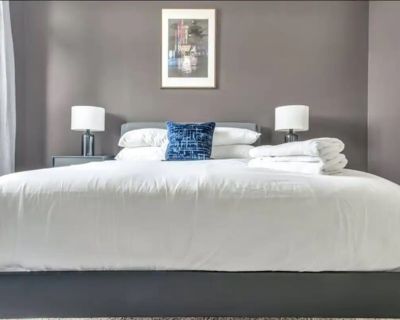 1 Bedroom 1BA 700 ft Furnished Apartment For Rent in Dallas, TX
