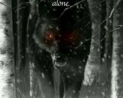 Only parent of a 4 year old. Been just us since he was 14 months old so nothing new. So its just him and I. He stays at my dads at least a couple nights a week so he wont always be here and goes to school 8-5:30 and goes to bed 8:30. Super great kid whose happy and a nice guy. Im a contractor who works 40 plus hours a week and have my LLC for side work as well. Im also in Columbia Universities ...