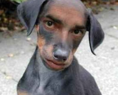 Fearless Motor Sports Group