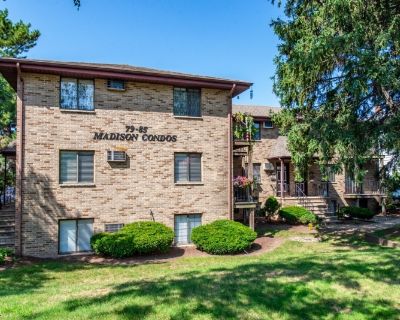 Year Built 1980 Bedroom 1BA 550 ft Apartment For Rent in Clifton, NJ